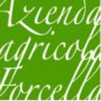 Forcella